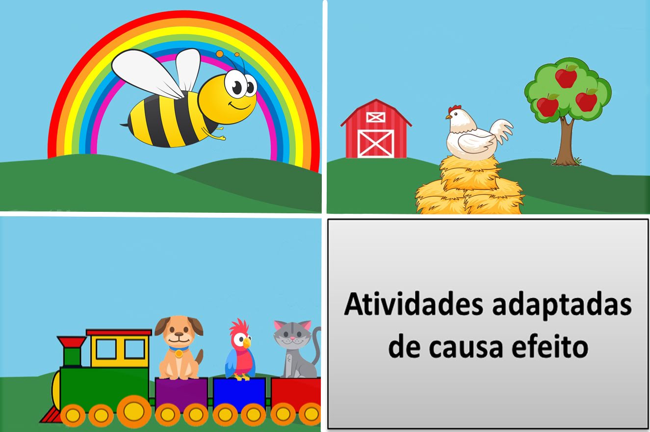 Fotos da atividade